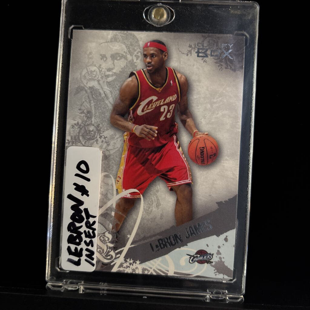 Lebron Insert