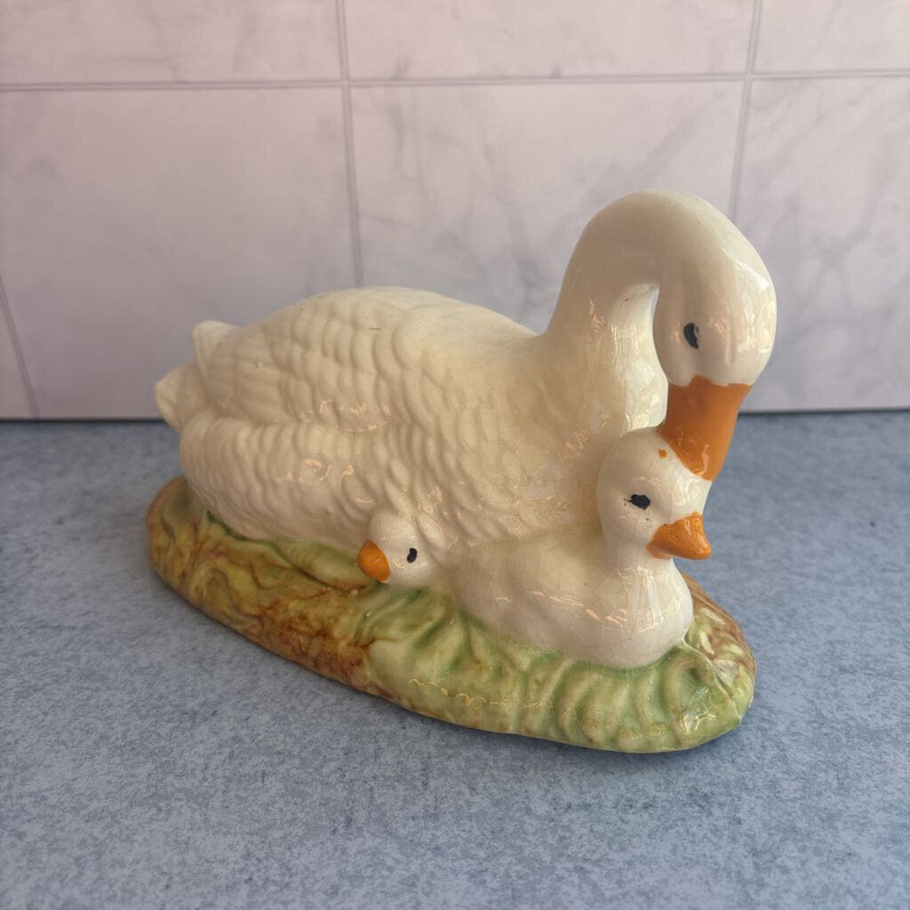 Swan and Cygnets