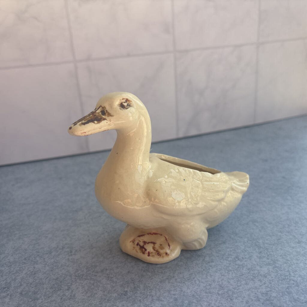 Duck mini Planter