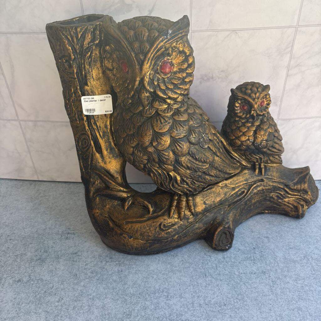 Owl planter / decor