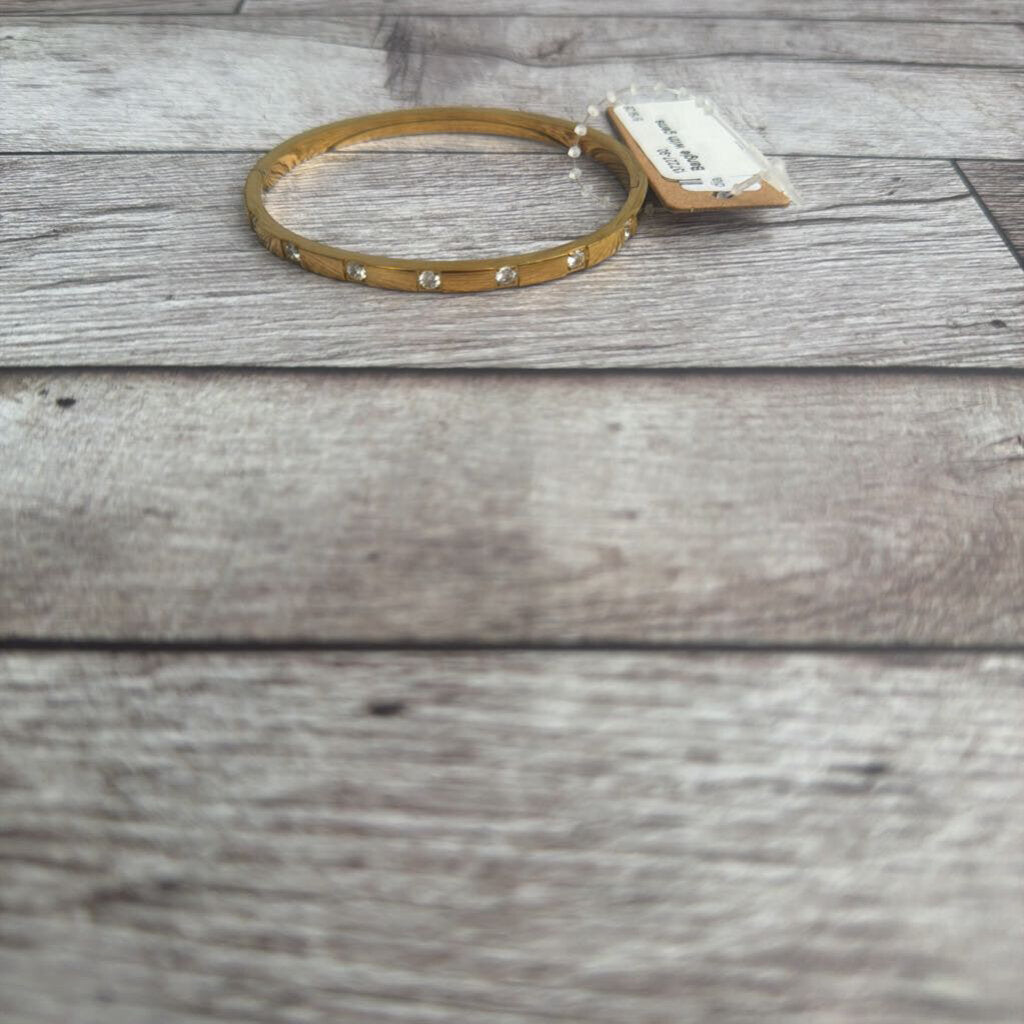 Bangle with gems