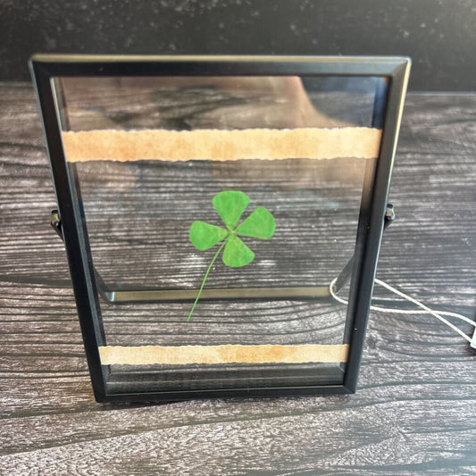 Pressed Flower Small - 4 Leaf Clover