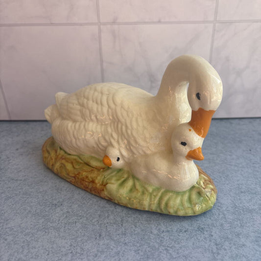 Swan and Cygnets