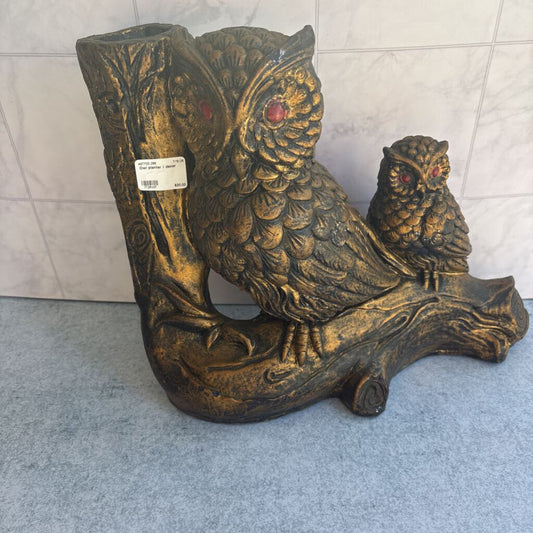 Owl planter / decor